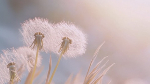 Einlassen und loslassen